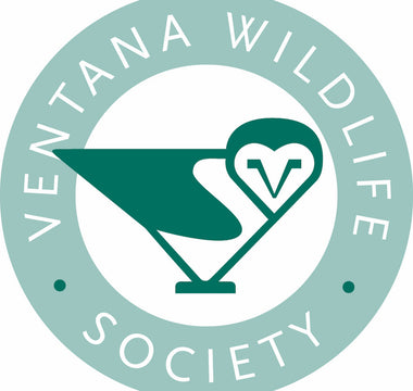 California Condor Nest Cam Goes Live! - Ventana Wildlife Society & Oakland Zoo