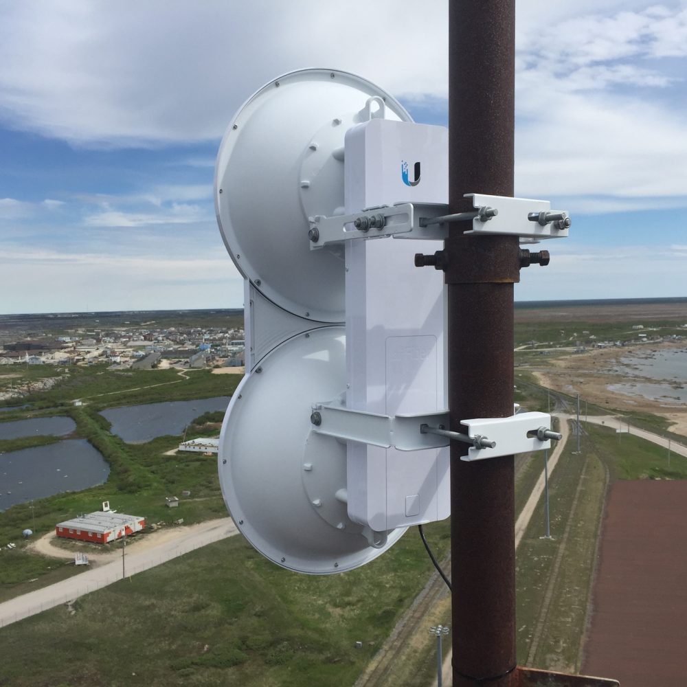 Churchill Polar Bears Live Camera Installation Images